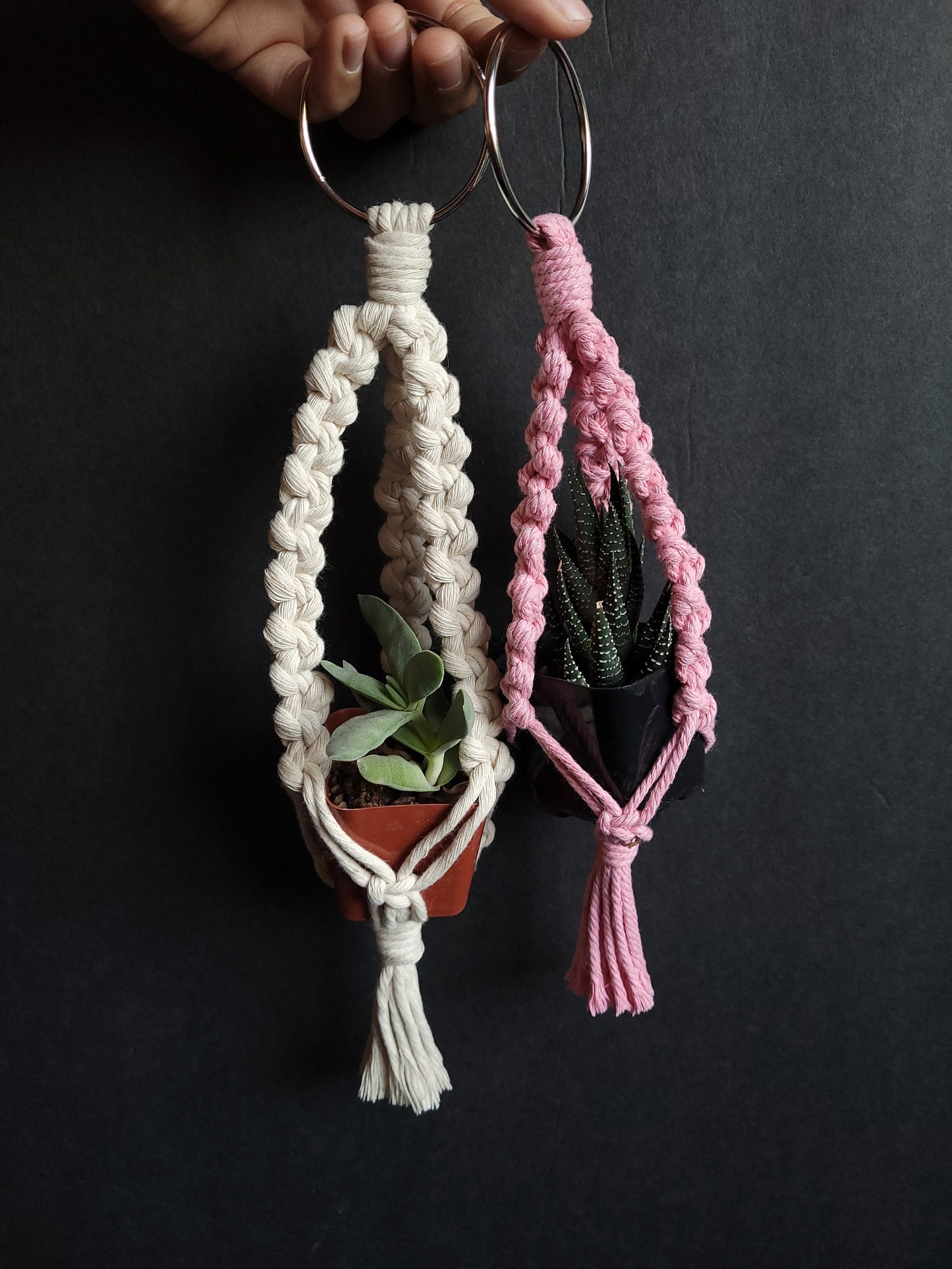 Macrame Small Succulent Plant Hanger | Hanging planter | Car Mirror Hanging |  | Air Succulent Hanger | Plant Lover Gift | Handmade