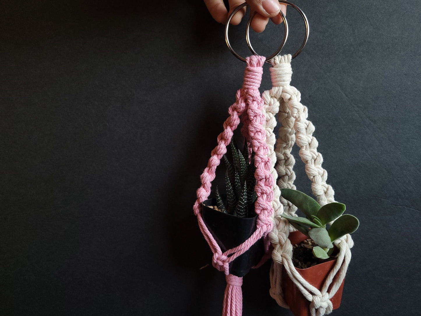 Macrame Small Succulent Plant Hanger | Hanging planter | Car Mirror Hanging |  | Air Succulent Hanger | Plant Lover Gift | Handmade